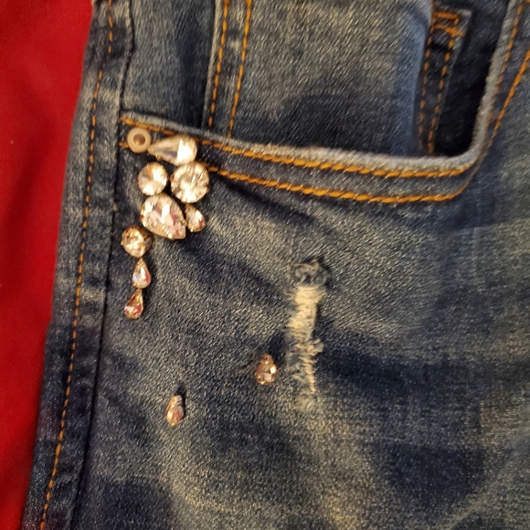 Bejeweled INC, Distressed Jeans - Picture 4 of 7